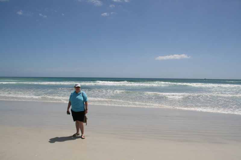 Nieuw-Zeeland 2011 - 0315